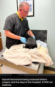 VET CARE CONTRIBUTION