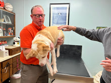 Load image into Gallery viewer, VET CARE CONTRIBUTION