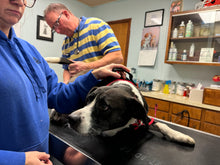 Load image into Gallery viewer, VET CARE CONTRIBUTION