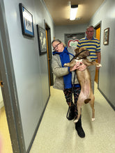 Load image into Gallery viewer, VET CARE CONTRIBUTION