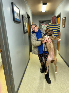VET CARE CONTRIBUTION