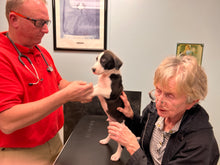 Load image into Gallery viewer, VET CARE CONTRIBUTION