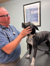 Load image into Gallery viewer, VET CARE CONTRIBUTION
