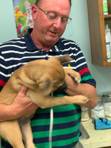 VET CARE CONTRIBUTION