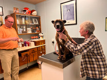 Load image into Gallery viewer, VET CARE CONTRIBUTION