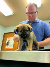 Load image into Gallery viewer, VET CARE CONTRIBUTION