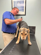 Load image into Gallery viewer, VET CARE CONTRIBUTION