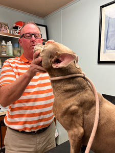 VET CARE CONTRIBUTION