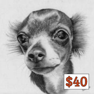 $40 Donation