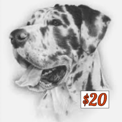 $20 Donation