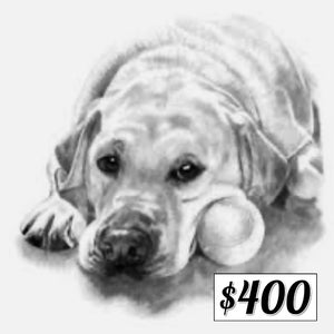 $400 Donation