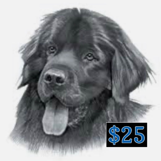 $25 Donation