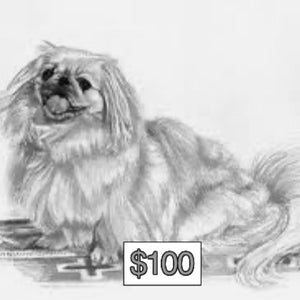 $100 Donation
