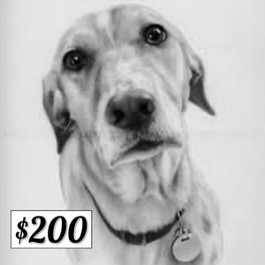 $200 Donation