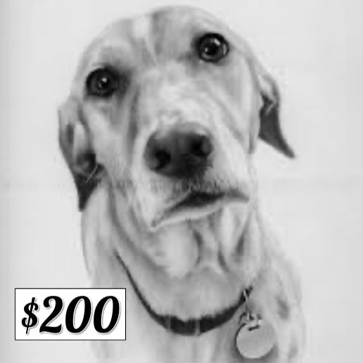 $200 Donation