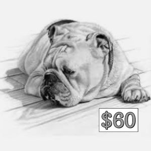 $60 Donation