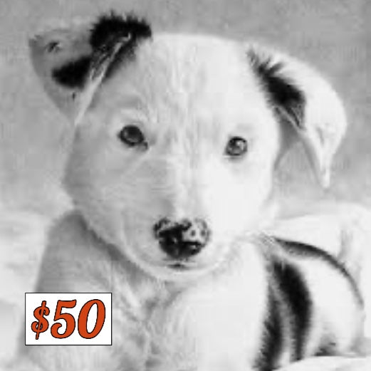 $50 Donation