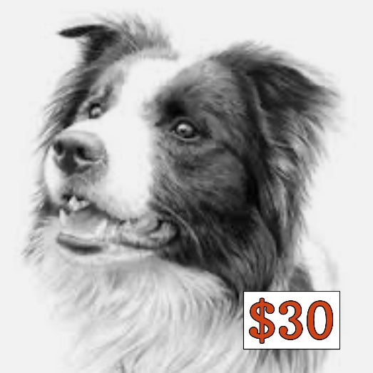$30 Donation
