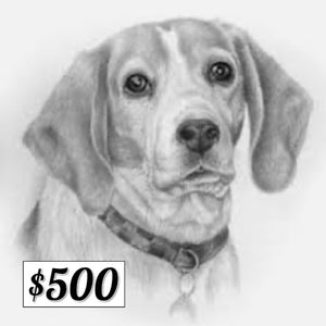 $500 Donation