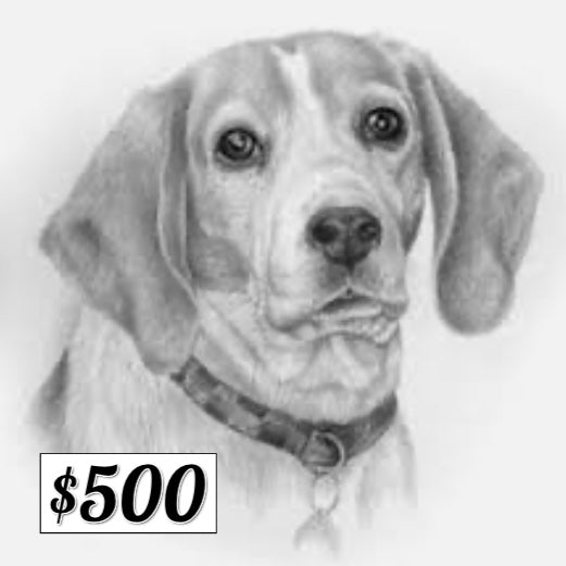 $500 Donation