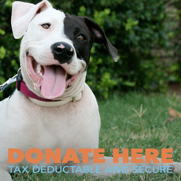 $50 Donation for the SPAR VET CARE FUND